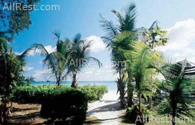 Acajou Resort Superior 17